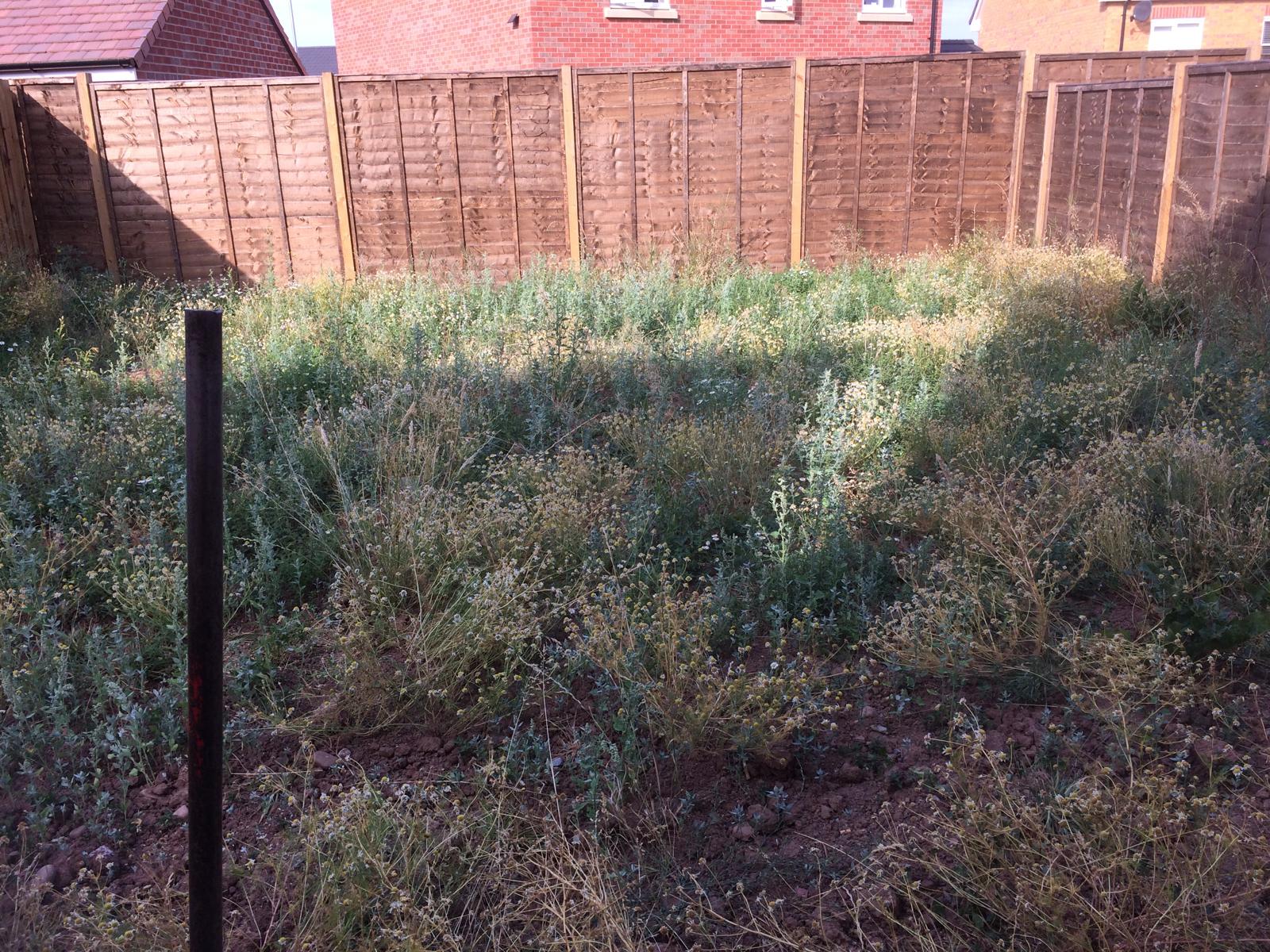 Before Project Transformation