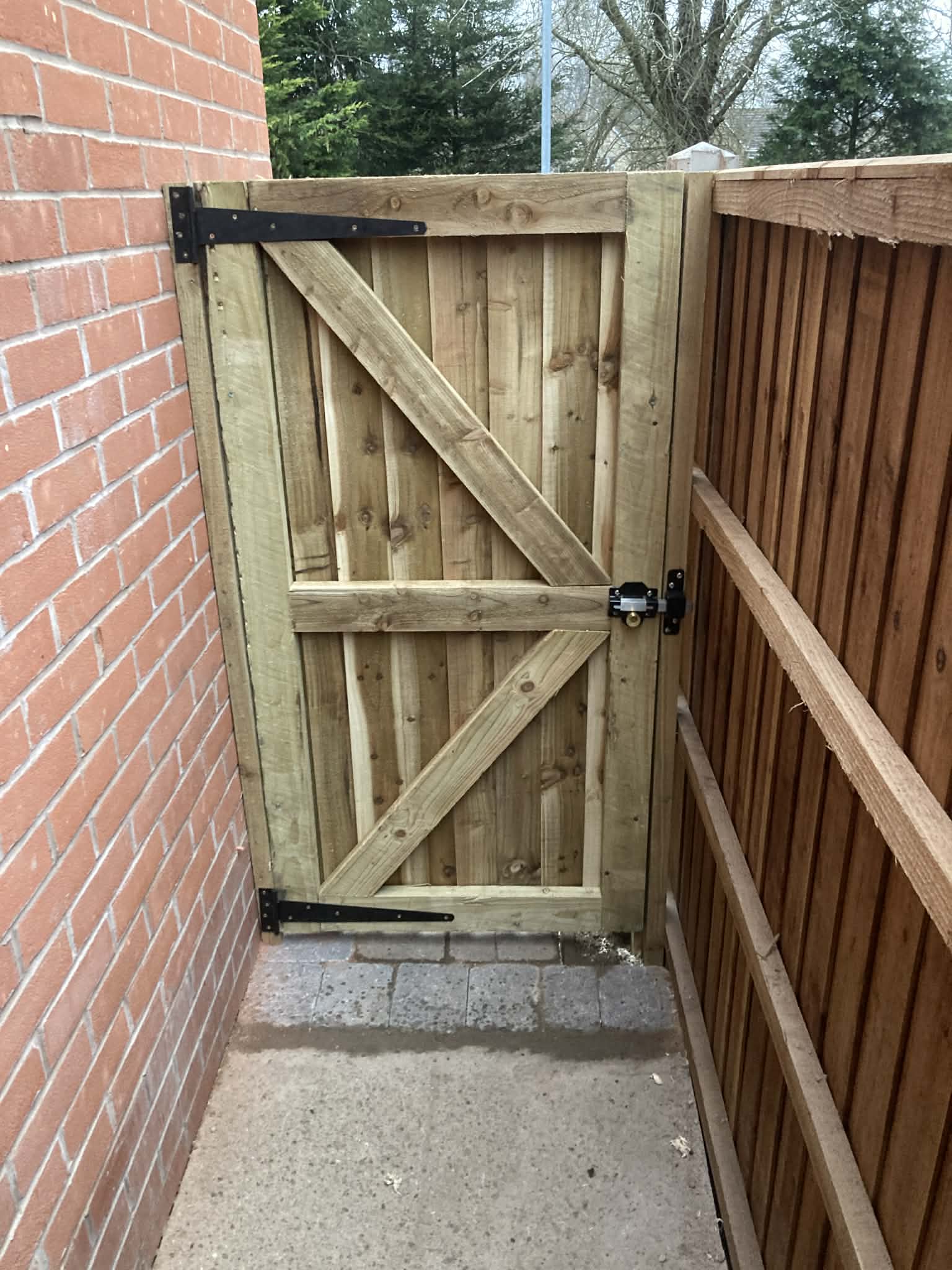 Fencing Project 1